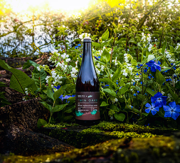 Burnt Mill Brewery Twin Oaks Mixed Fermented Sour 7.2