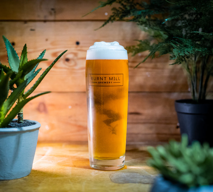 Burnt Mill Brewery Pint Glass Suffolk Brewery Merch Suffolk Beer