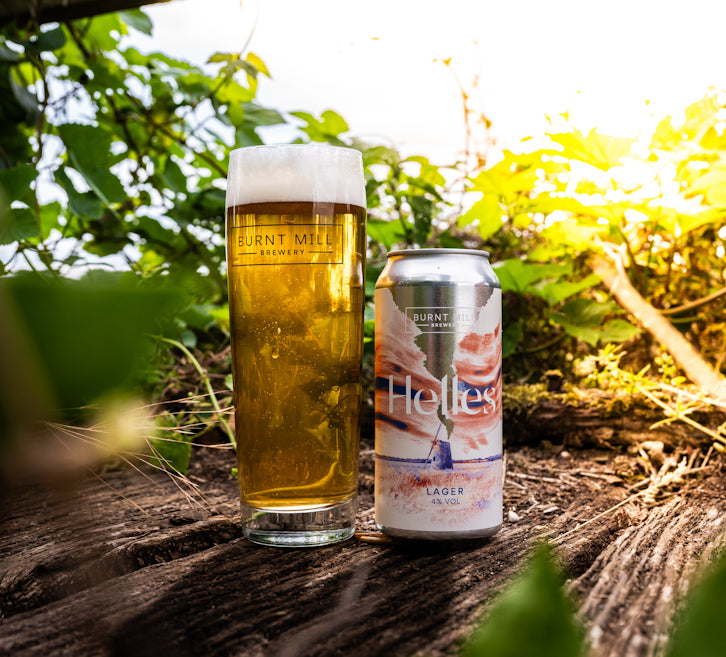 Burnt Mill Helles Lager 4 Suffolk Beer Gluten Free Beer Burnt Mill