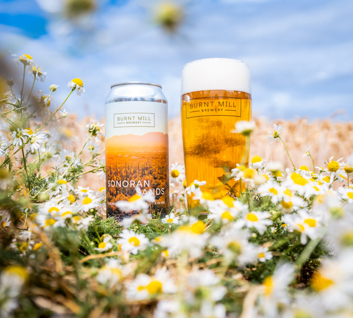 Sonoran Sands - Dry Hopped - American Blonde 4.4%