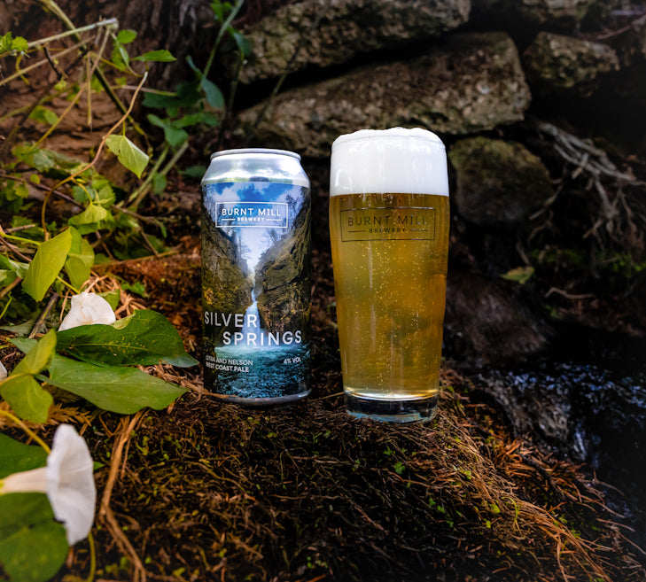 Silver Springs - West Coast Pale Ale 4%