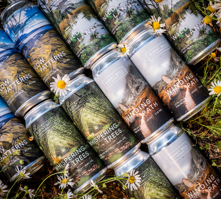 Mixed 12 Pack - Hazy