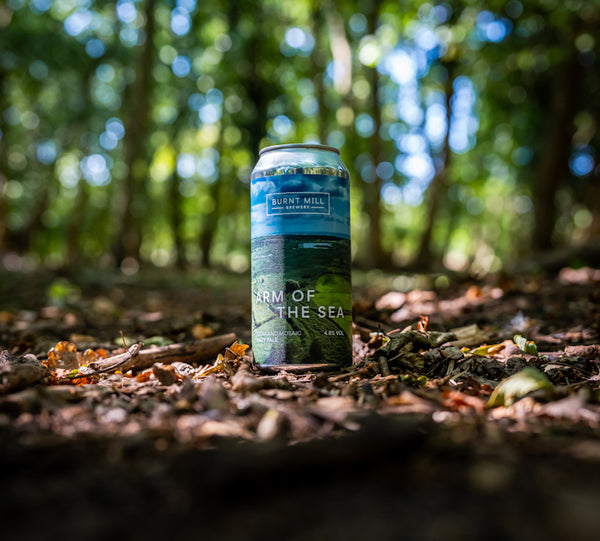Arm of the Sea - Hazy Pale Ale 4.8%