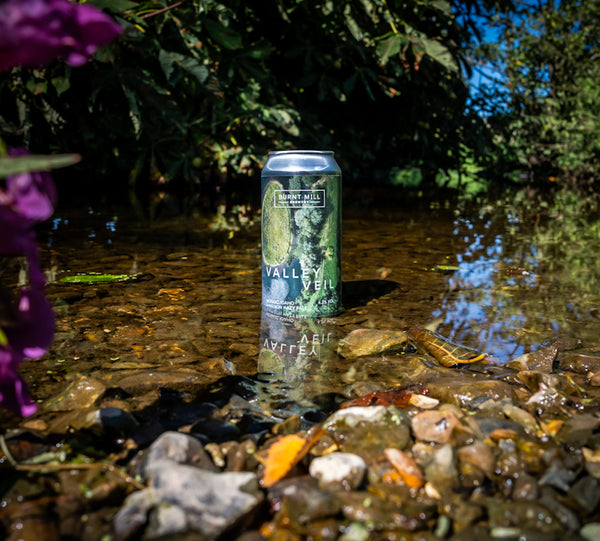 Valley Veil - Hazy Pale Ale 4.2%
