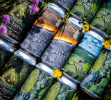 Mixed 12 Pack - Hazy