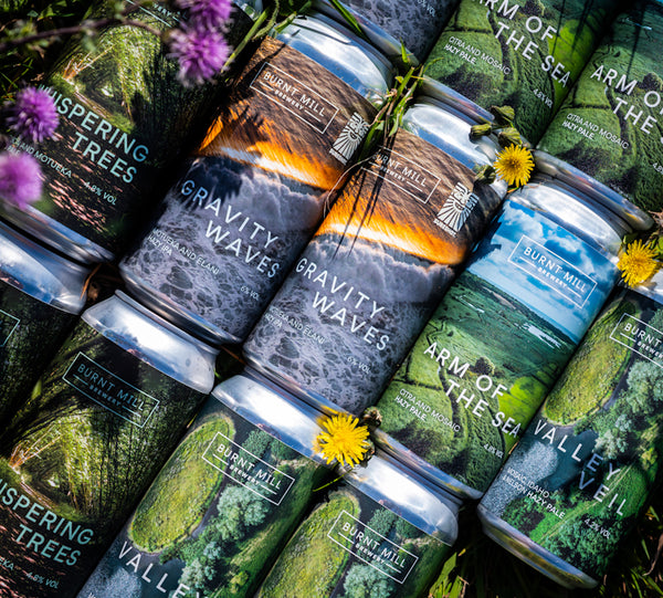 Mixed 12 Pack - Hazy