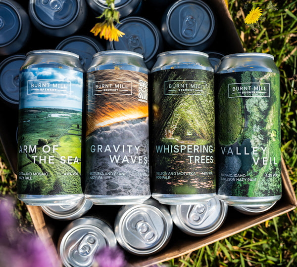 Mixed 12 Pack - Hazy
