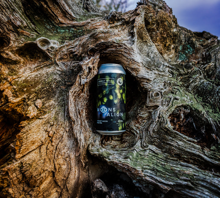 Moons Align - Hazy IPA 6%