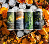 Mixed 12 Pack - Hazy