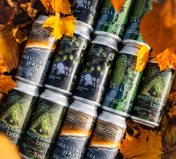 Mixed 12 Pack - Hazy