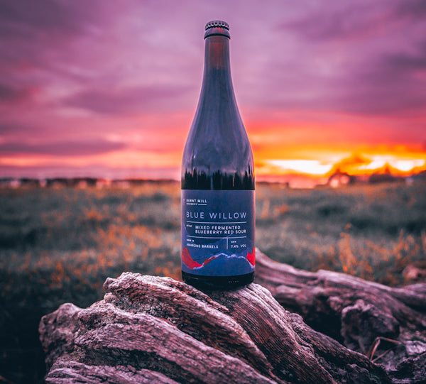 Blue Willow - Barrel Aged Mixed Fermented Blueberry Red Sour 7.4% - 750ml
