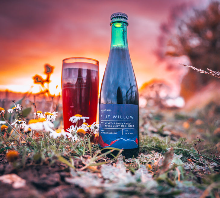 Blue Willow - Barrel Aged Mixed Fermented Blueberry Red Sour 7.4% - 375ml