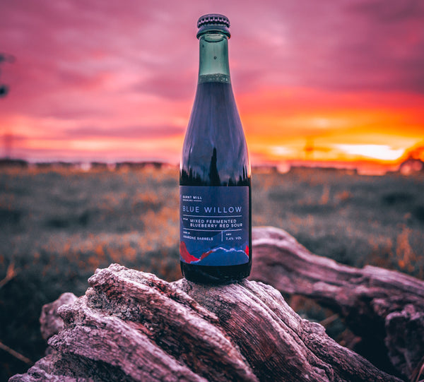 Blue Willow - Barrel Aged Mixed Fermented Blueberry Red Sour 7.4% - 375ml