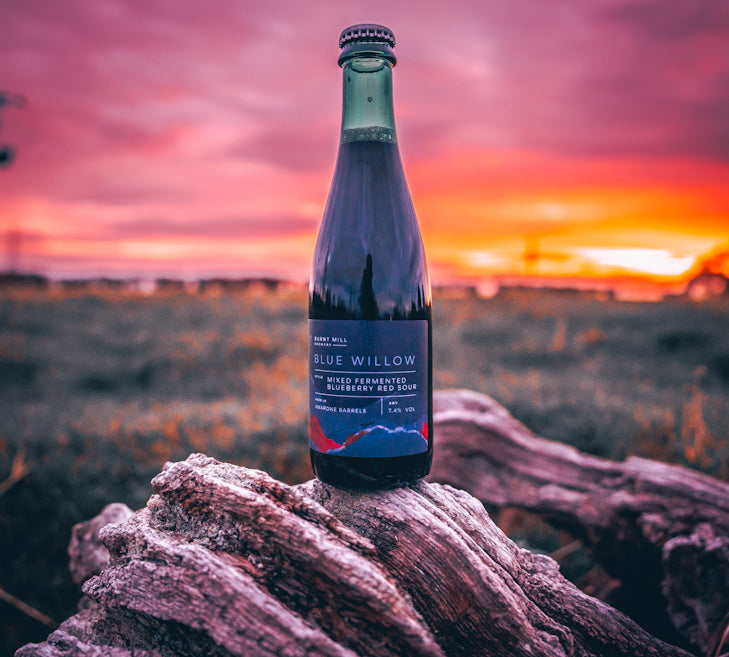 Blue Willow - Barrel Aged Mixed Fermented Blueberry Red Sour 7.4% - 375ml