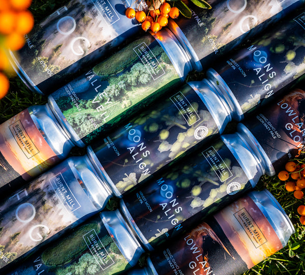 Mixed 12 Pack - Hazy