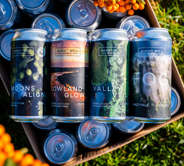 Mixed 12 Pack - Hazy