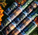 Mixed 12 Pack - Hazy