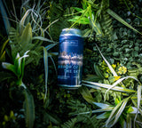 Mirror Of The Sky - West Coast Pale Ale 4.6%