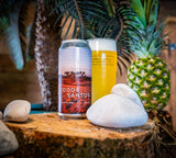 Todos Santos - Pineapple Gose 4.8%