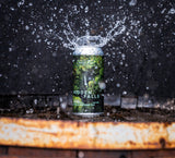 Hidden Falls - West Coast Pale Ale 4.8%