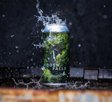 Hidden Falls - West Coast Pale Ale 4.8%