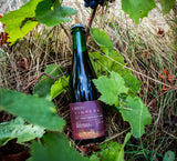 Vinifera - Barrel Aged Mixed Fermented Pinot Noir Sour 7.5% - 375ml