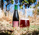 Vinifera - Barrel Aged Mixed Fermented Pinot Noir Sour 7.5% - 375ml