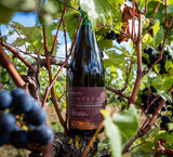 Vinifera - Barrel Aged Mixed Fermented Pinot Noir Sour 7.5% - 375ml