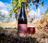 Vinifera - Barrel Aged Mixed Fermented Pinot Noir Sour 7.5% - 750ml