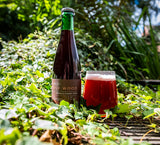 Silkwood - Barrel Aged Mixed Fermented Morello Cherry Sour 6.0% - 375ml