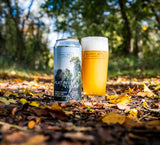 Platimum Vistas - Hazy TIPA 10%